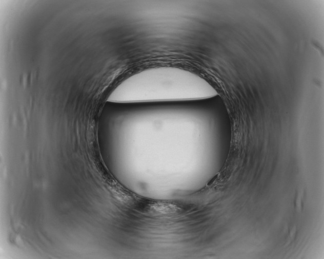X0000096970712200802080923