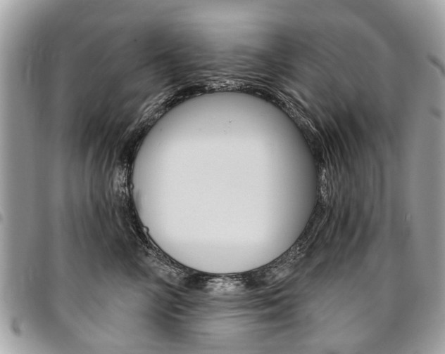 X0000096970714200802080923