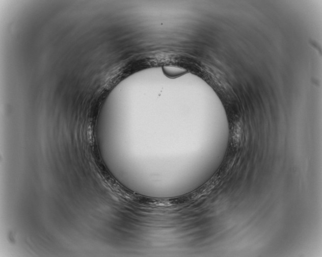 X0000096970715200802080923