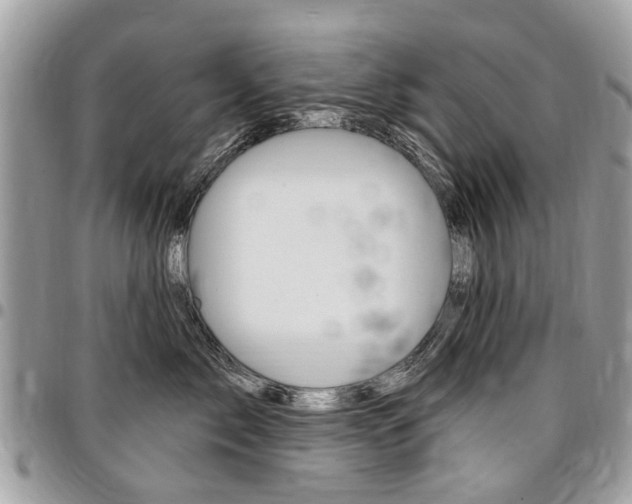 X0000096970717200802080923