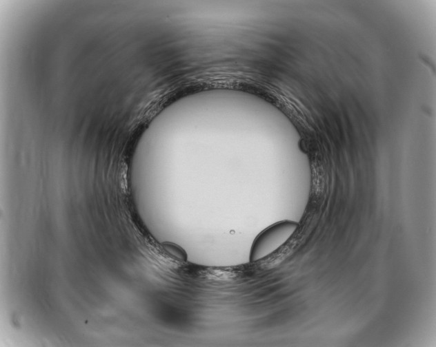 X0000096970718200802080923