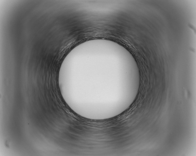 X0000096970720200802080923