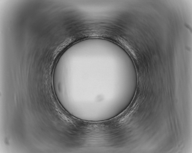 X0000096970721200802080922