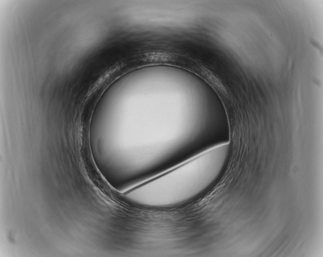 X0000096970722200802080922