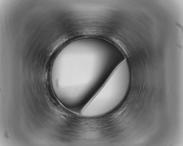 X0000096970723200802080922