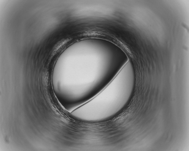 X0000096970724200802080922