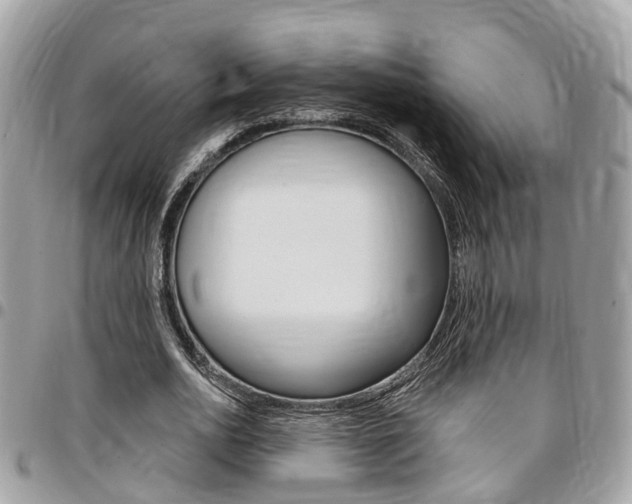X0000096970726200802080922
