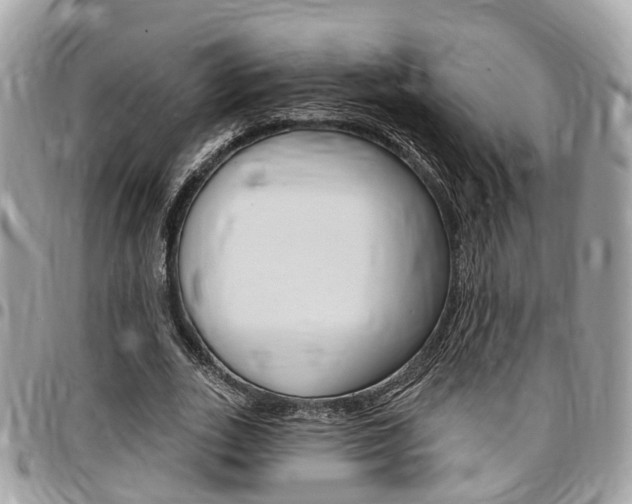 X0000096970727200802080922