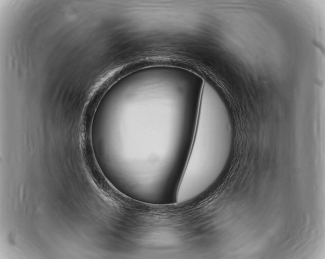 X0000096970728200802080923