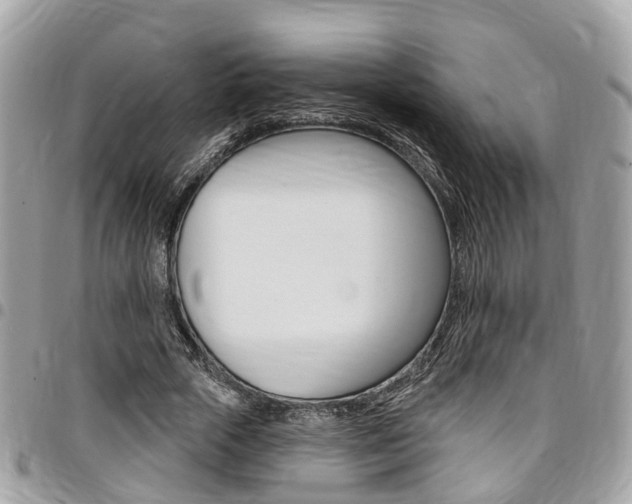X0000096970729200802080923