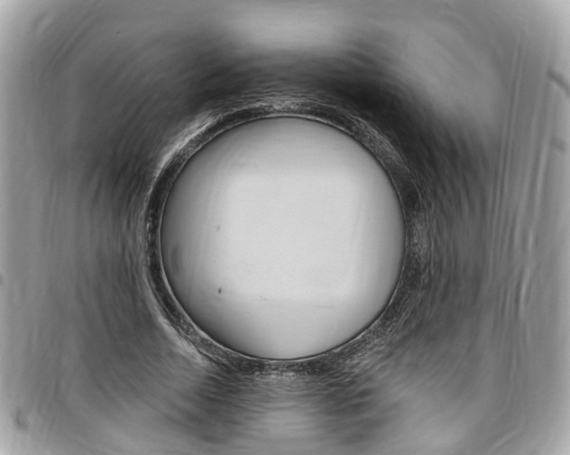 X0000096970730200802080923