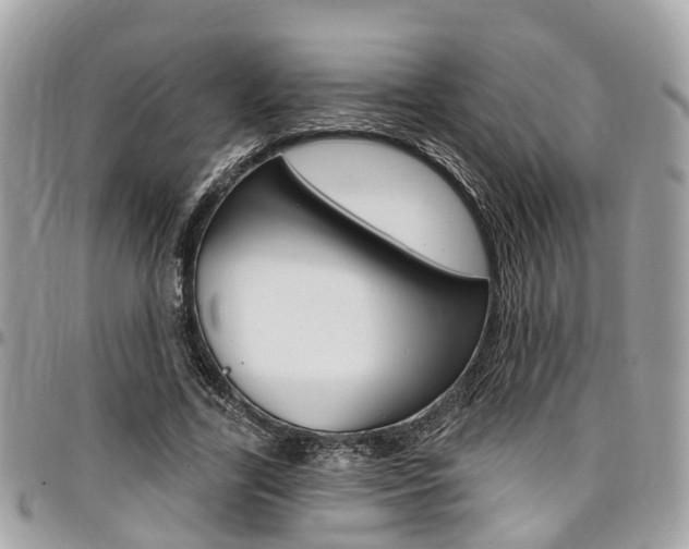 X0000096970731200802080923