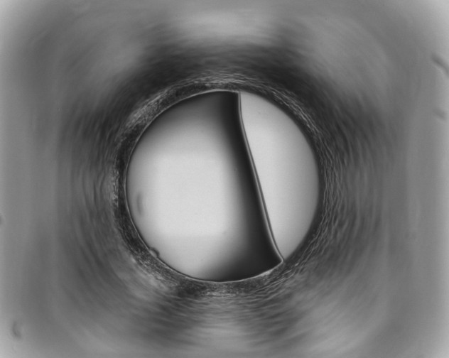 X0000096970732200802080923