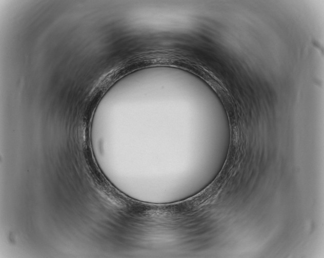 X0000096970733200802080923