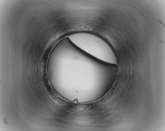 X0000096970736200802080923