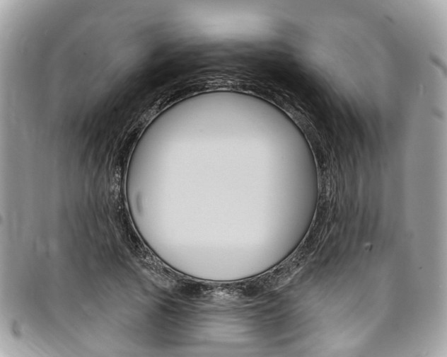 X0000096970737200802080923