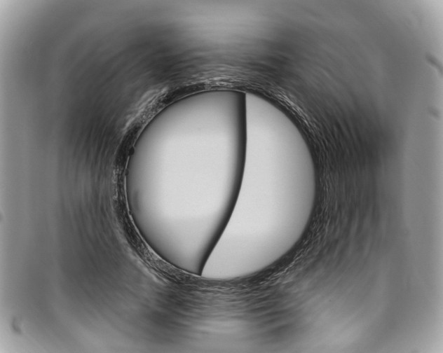 X0000096970738200802080923