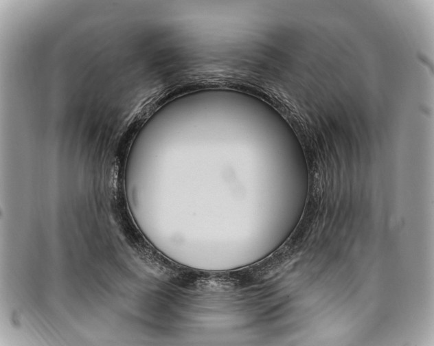 X0000096970739200802080923