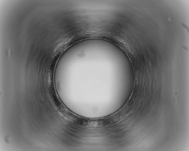 X0000096970740200802080923