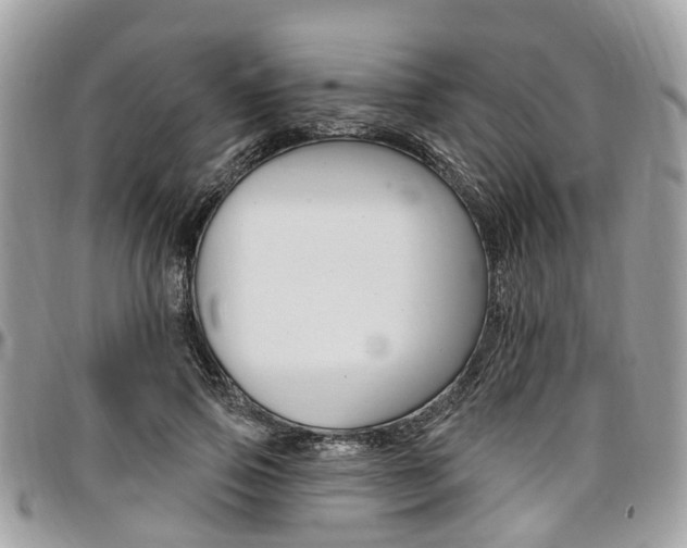 X0000096970741200802080923