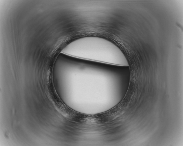 X0000096970742200802080923