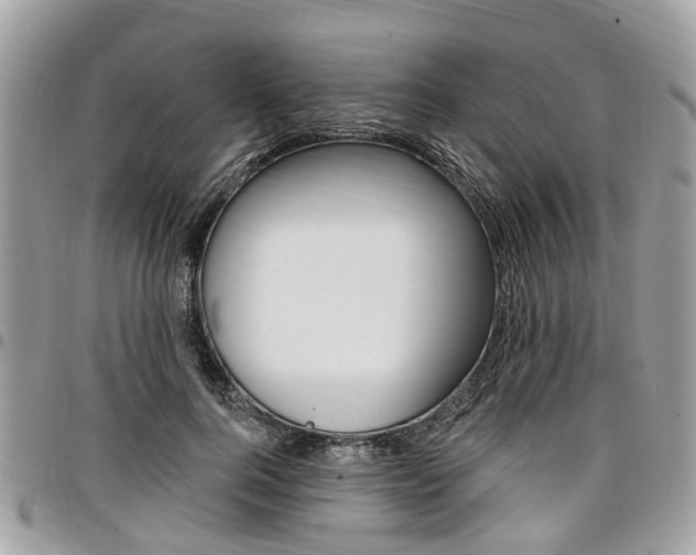 X0000096970744200802080923