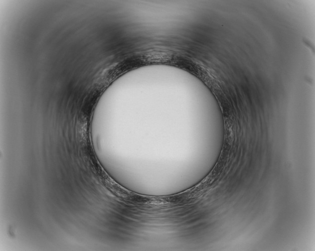 X0000096970745200802080923