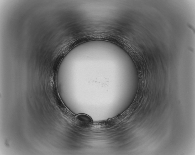 X0000096970746200802080923