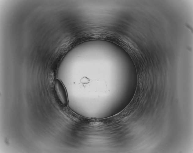 X0000096970748200802080923