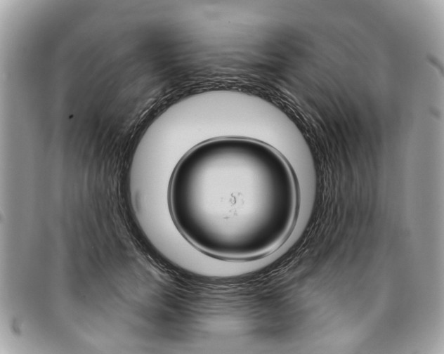 X0000096970750200802080923