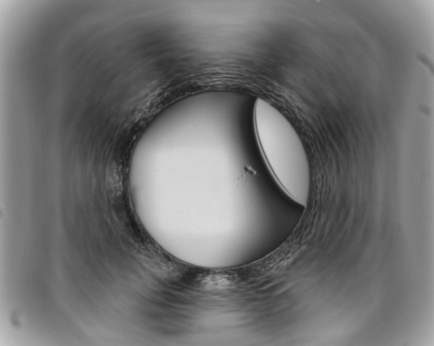 X0000096970751200802080923
