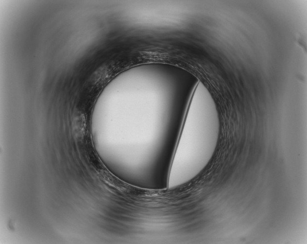 X0000096970752200802080923
