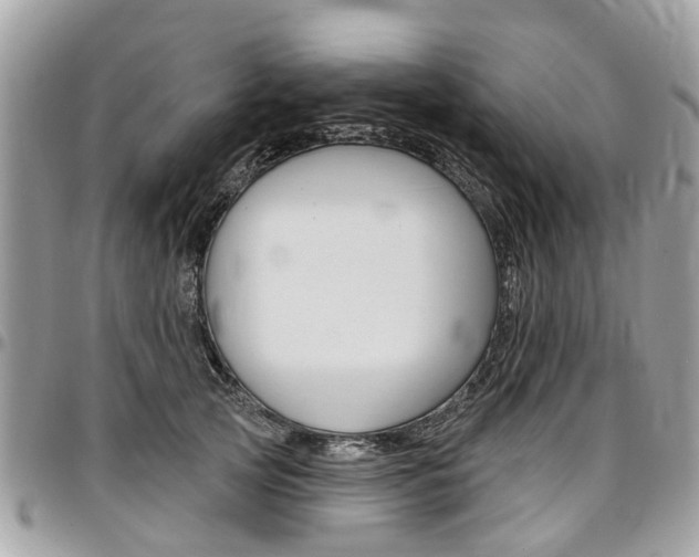 X0000096970753200802080923