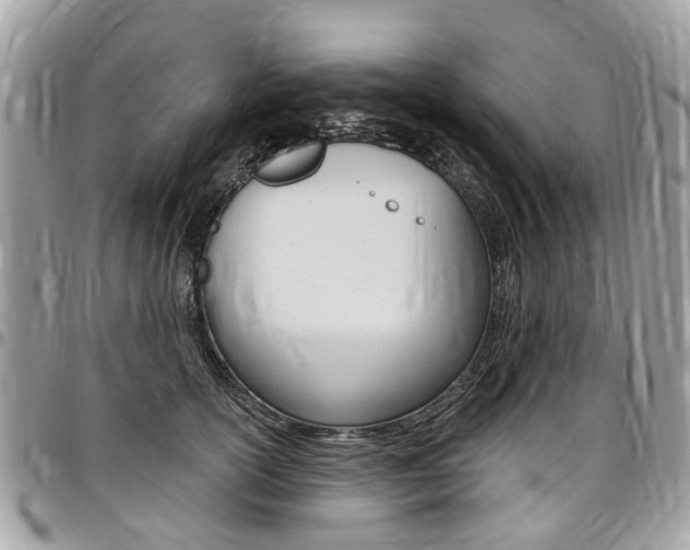 X0000096970754200802080923