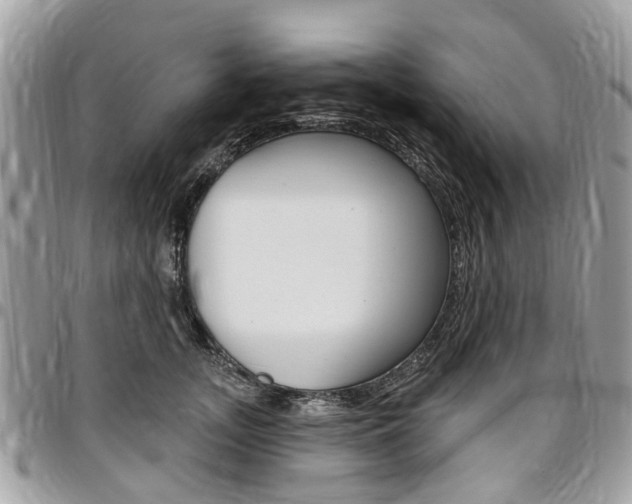 X0000096970755200802080923