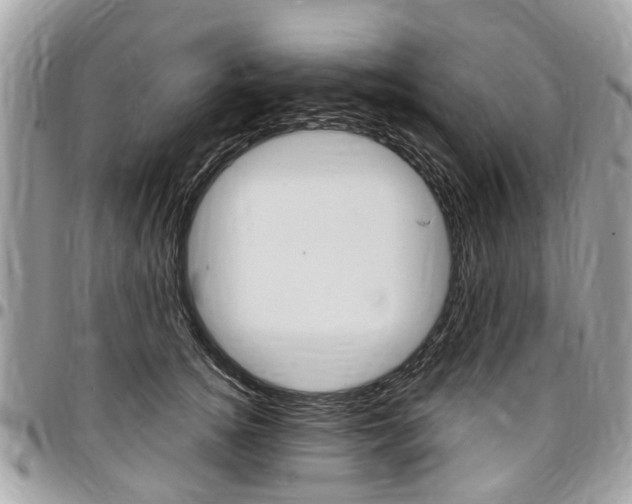 X0000096970756200802080923