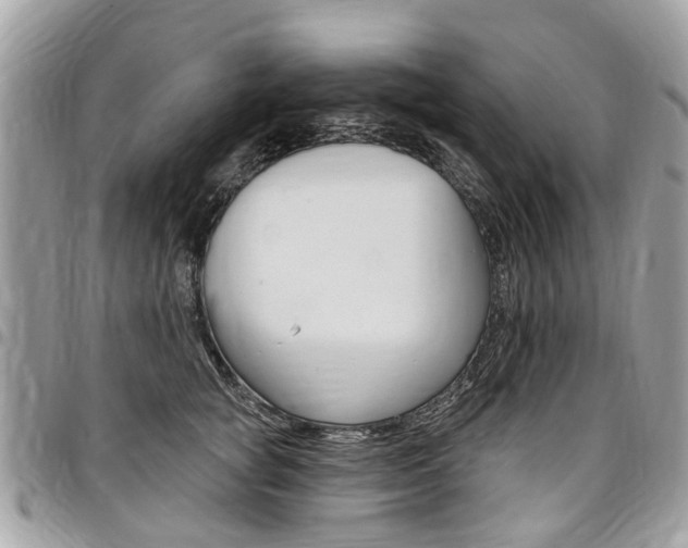 X0000096970757200802080923