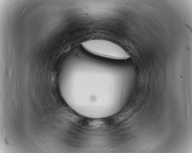 X0000096970759200802080923