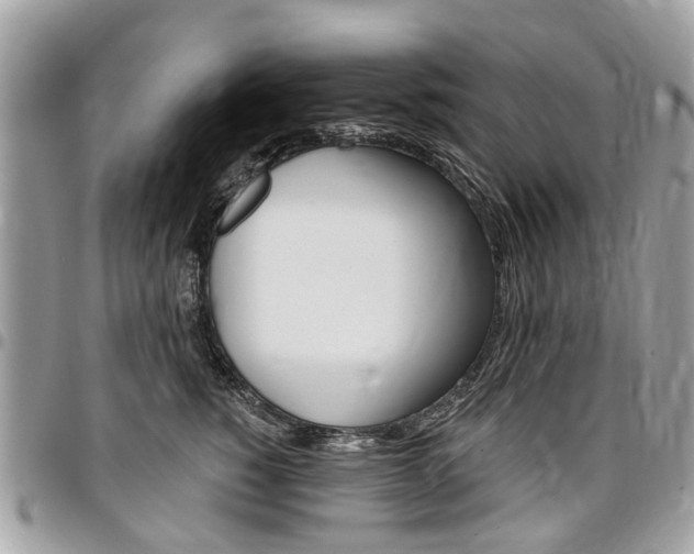 X0000096970760200802080923
