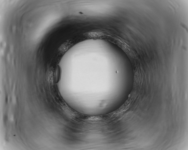 X0000096970762200802080923