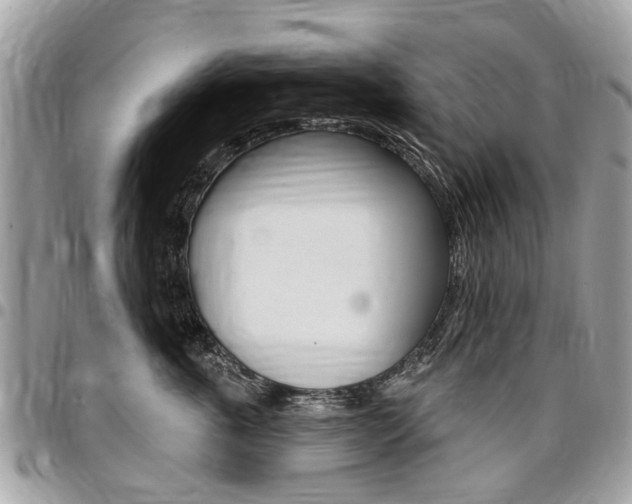 X0000096970763200802080923