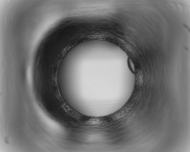 X0000096970764200802080923