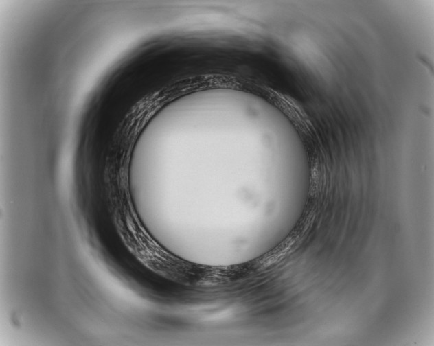 X0000096970765200802080923