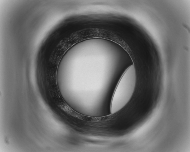 X0000096970766200802080923