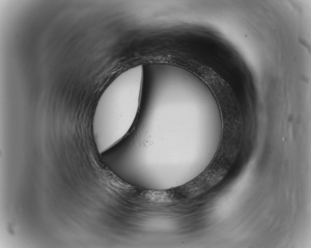 X0000096970767200802080923