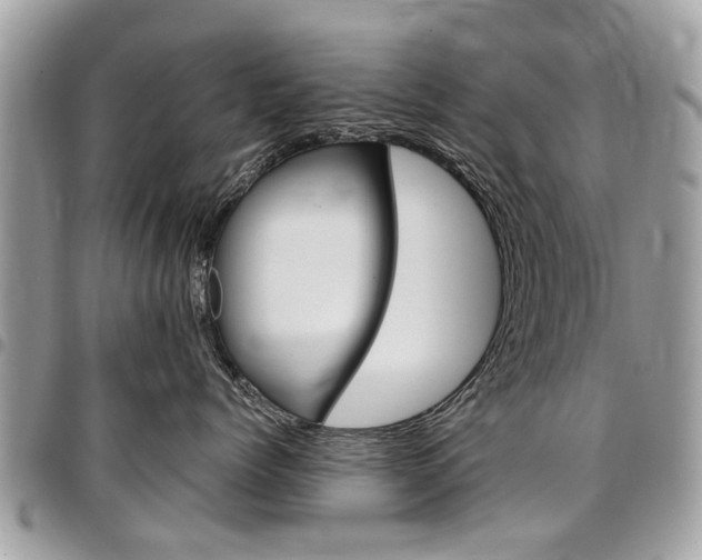 X0000096970768200802080923