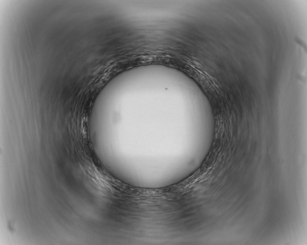 X0000096970770200802080922