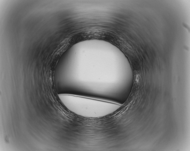 X0000096970771200802080922
