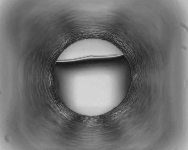X0000096970772200802080922