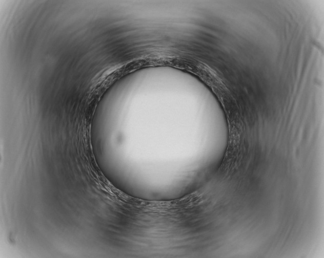X0000096970773200802080922